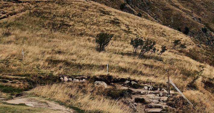 vogesen010