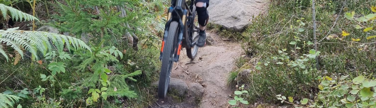 Ghost Light eMTB