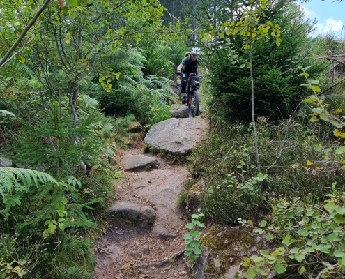Ghost Light eMTB