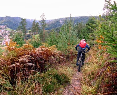 Mountainbiken ist aktiver Umweltschutz