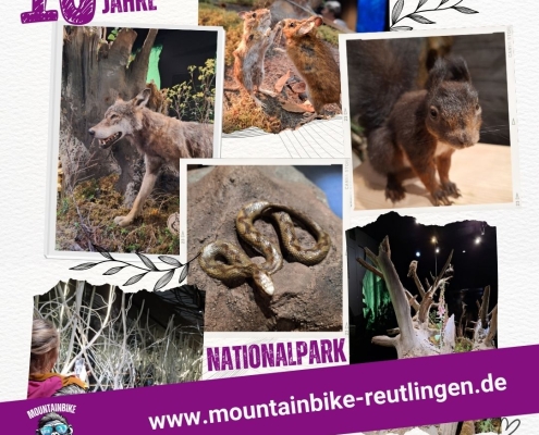 Nationalpark Schwarzwald1