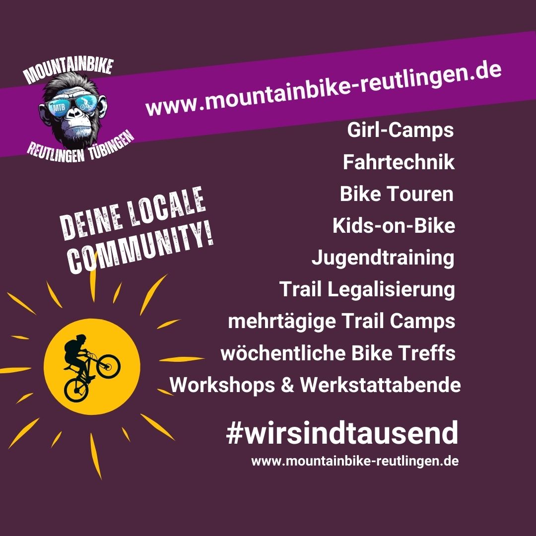 3 Fragen 11